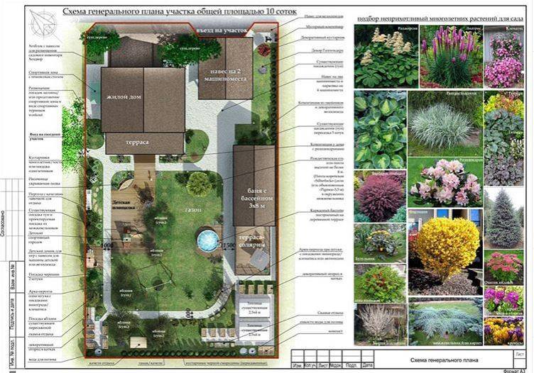 Дизайн участка 8 соток: планировка, актуальный ландшафтный дизайн и правила оформления участка (80 фото)