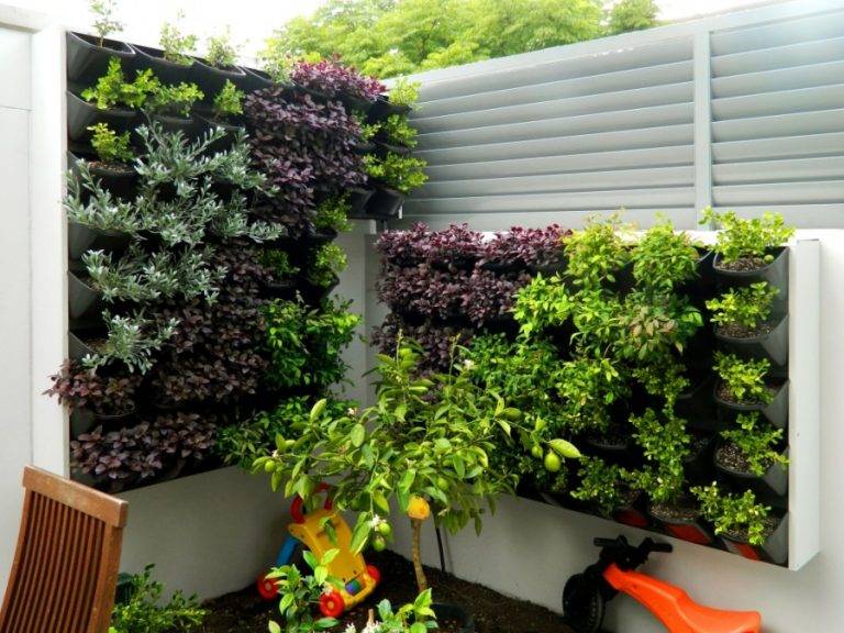 Вертикальный сад: 100 идей создания зеленой стены