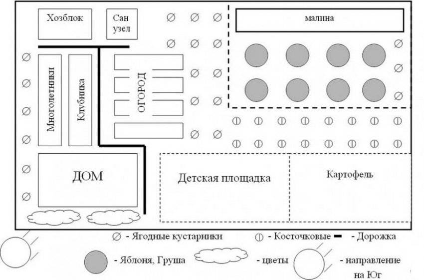 Совместимость плодовых деревьев и кустарников в саду схема расположения