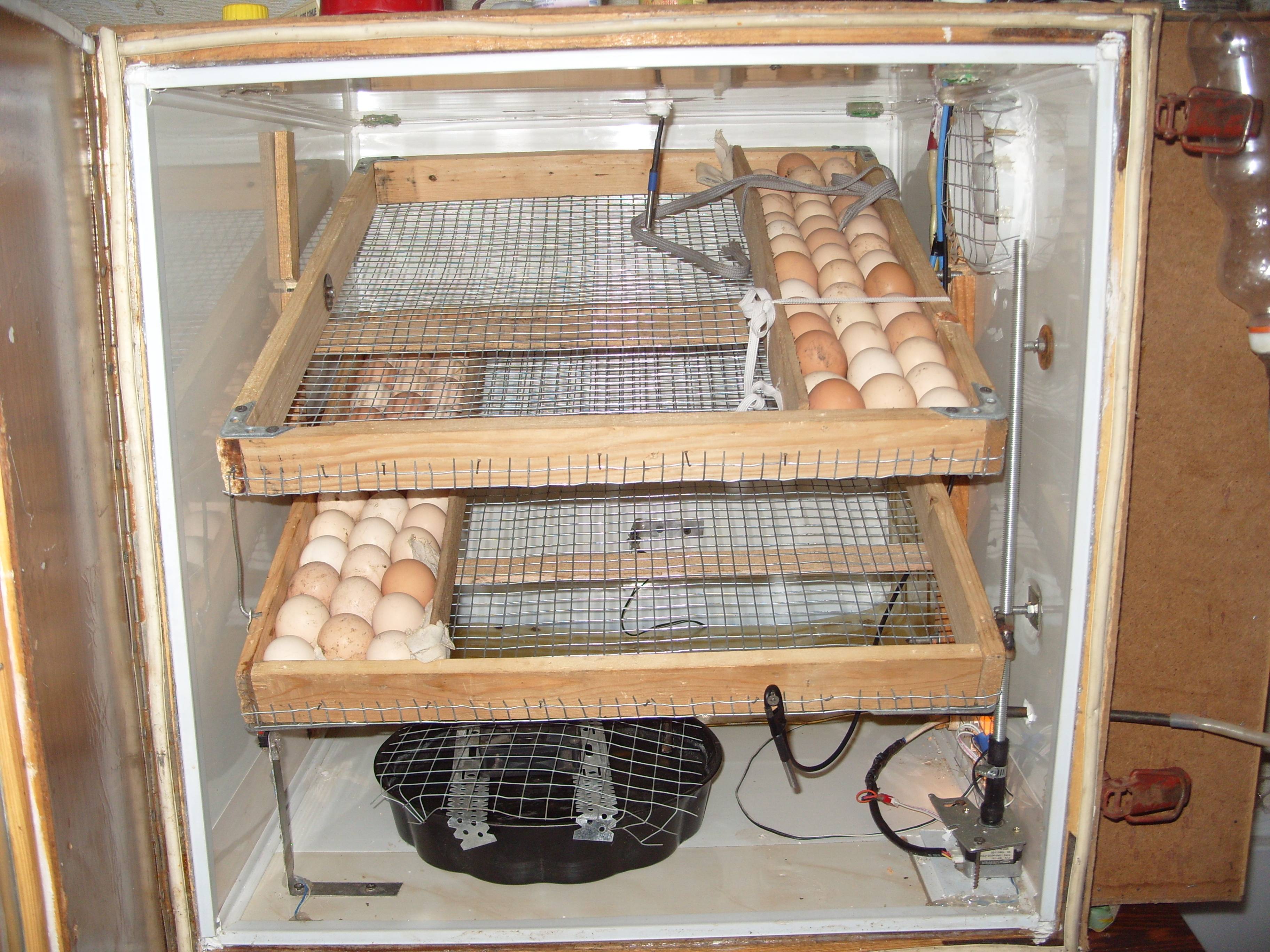 Самодельный инкубатор для яиц. Инкубатор йасаш. Самодельный автоматический инкубатор. Инкубатор на 60 яиц с автоматическим переворотом. Инкубатор с холодильника.