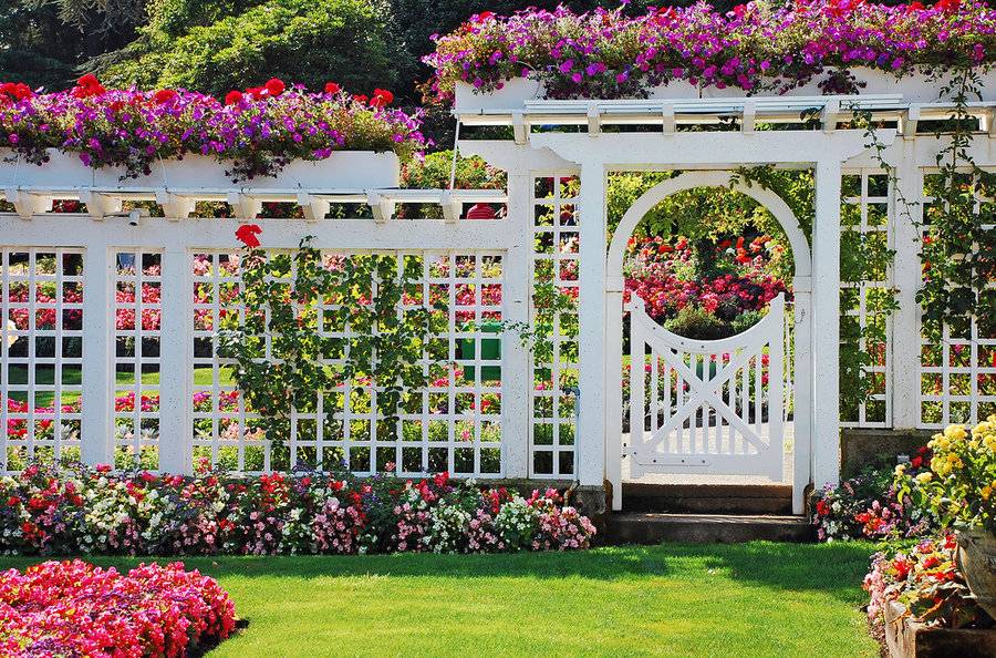 Садовая арка своими руками - лучшие проекты благоустройства и варианты озеленения вьющимися растениями (105 фото)