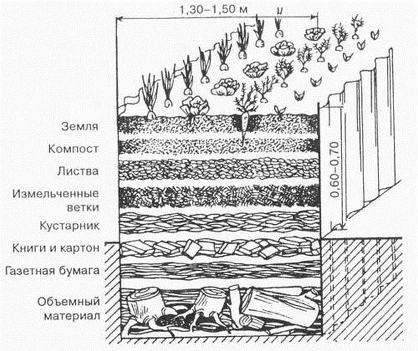 Грядка розума схема