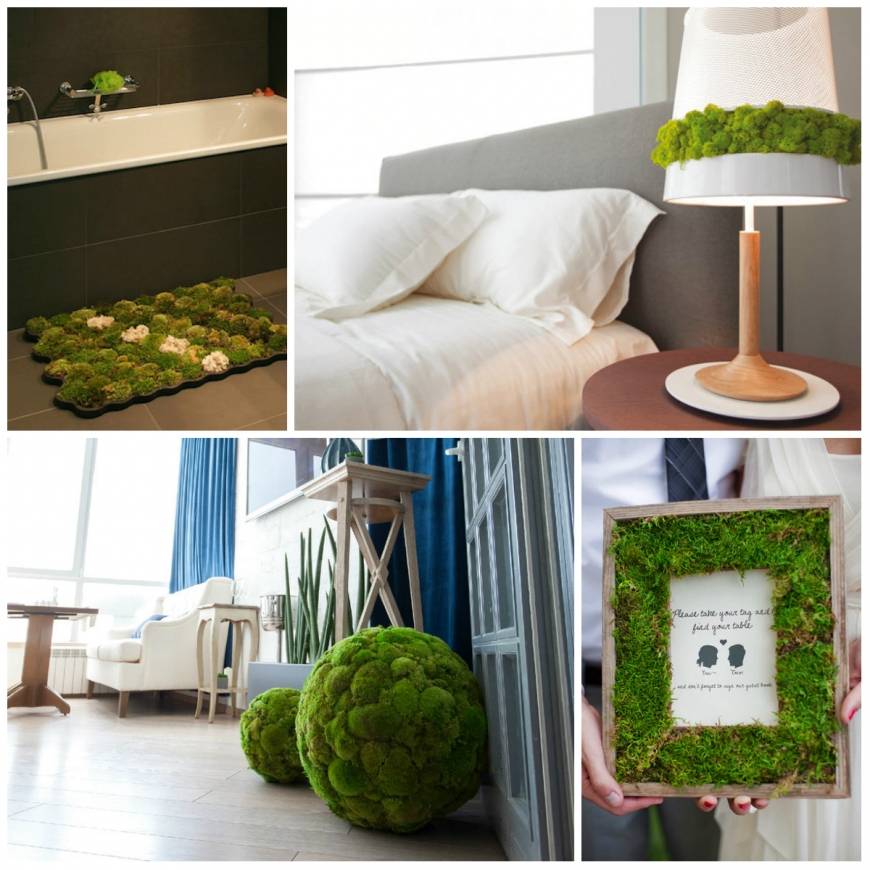 Мох в интерьере (59 фото): стабилизированный мох для квартиры и декоративный интерьерный живой мох, дизайн ванной и других комнат со мхом