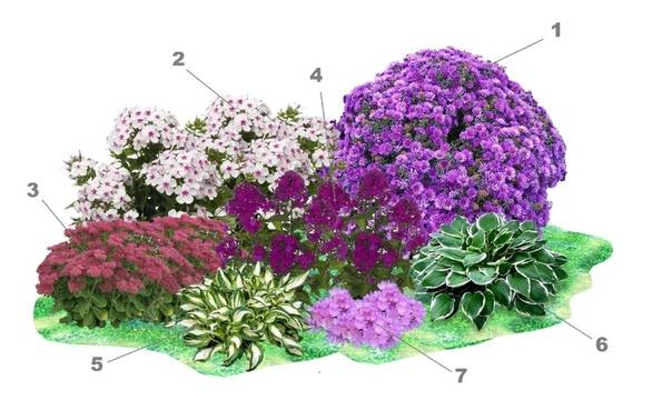 Красивые клумбы: советы по созданию цветников из много- и однолетних растений, схемы, способы подготовки почвы и оформление