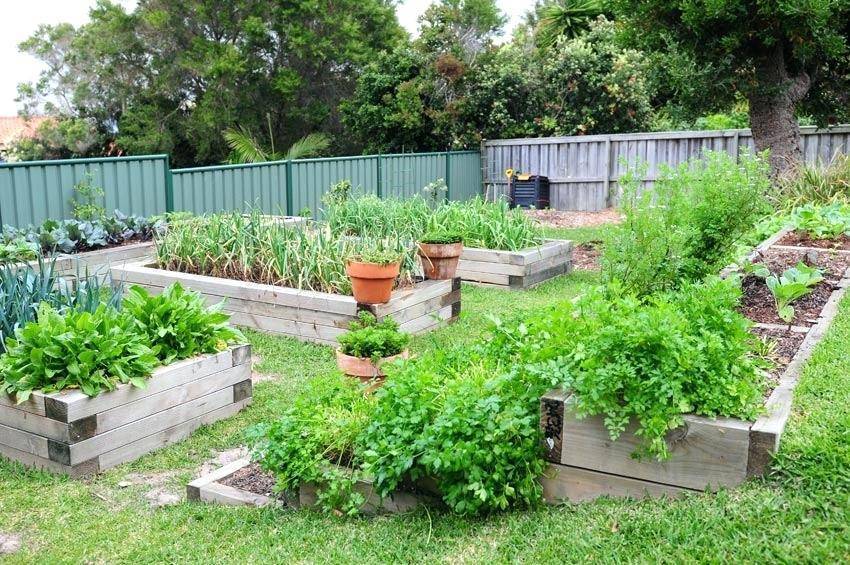 Огород: чем огородить грядки на даче дешево своими руками из подручных материалов